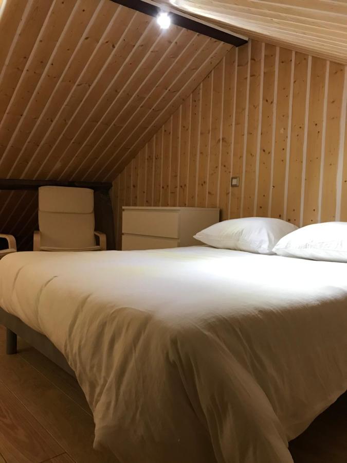 Studio De 35M2 Au Centre De Cusset Экстерьер фото